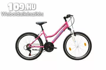Mistral 24 lány pink/kék-fekete kerékpár