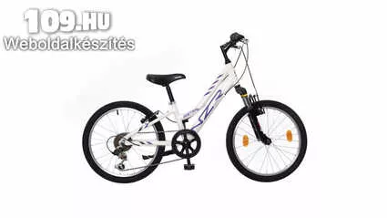 Mistral 20 lány fehér/lila-fekete kerékpár