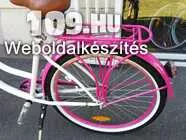 620410_noi-kerekpar-neuzer-cruiser--feher-rozsaszin-felszerelt-neuzer--cruiser--soul--varosi--feher--rozsaszin--pink--kerekpar--kruzer--bicikli-noi-img-20180704-093117.jpg