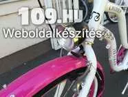 620410_noi-kerekpar-neuzer-cruiser--feher-rozsaszin-felszerelt-neuzer--cruiser--soul--varosi--feher--rozsaszin--pink--kerekpar--kruzer--bicikli-noi-img-20180704-093127.jpg